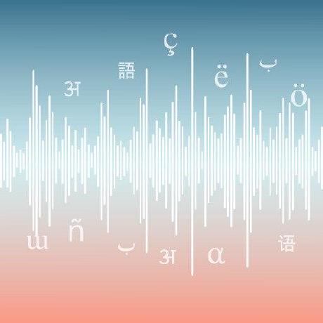 vosk-api