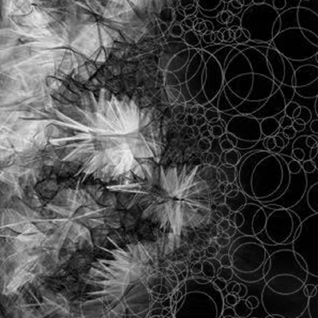 momentumjs