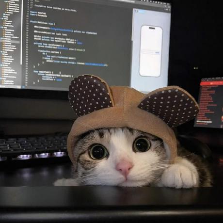 discord-mcp