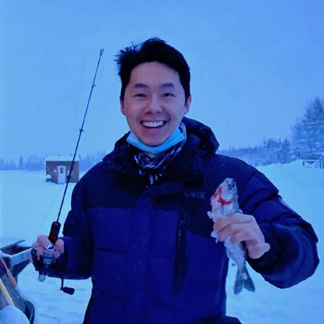 golang-skills