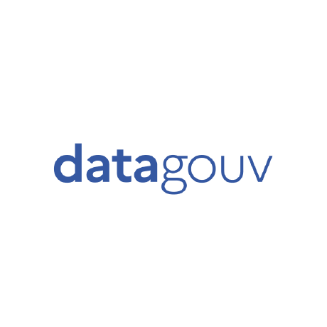 datagouv-mcp