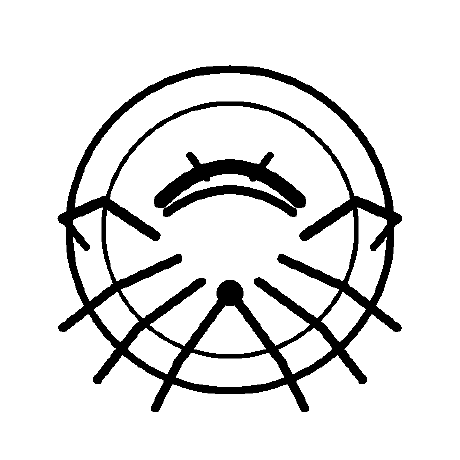 decapod