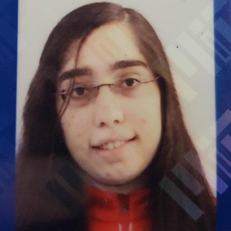 gansformer