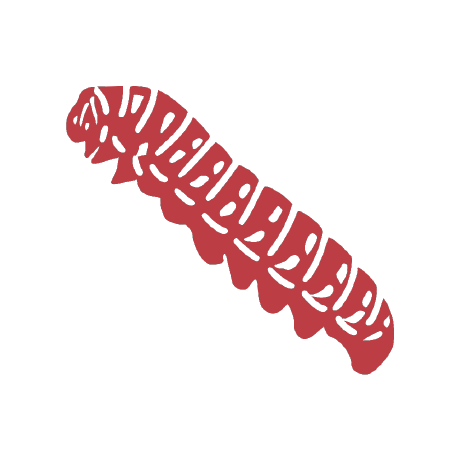 inseq