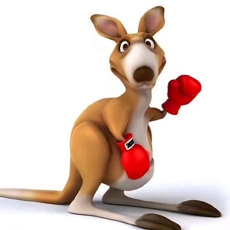 kangarooking-skills