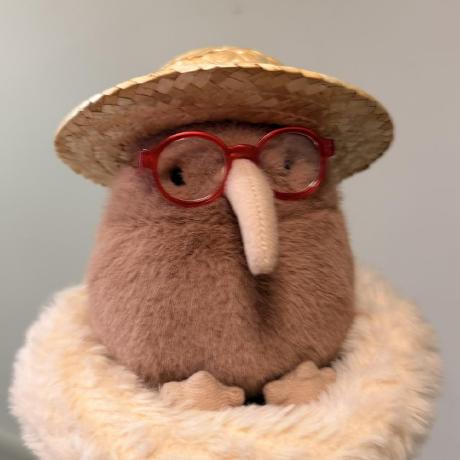 kiwi-mem