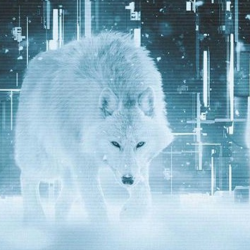 LUMI-AI-Guide