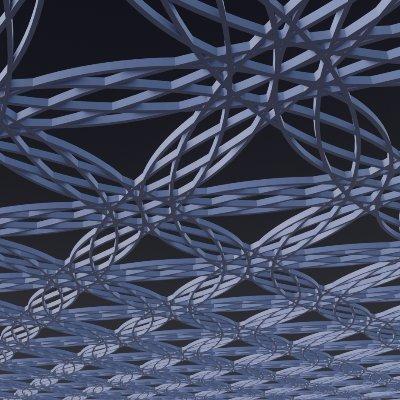Reticulum