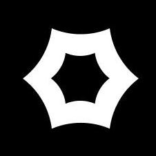 maximem_synap_sdk