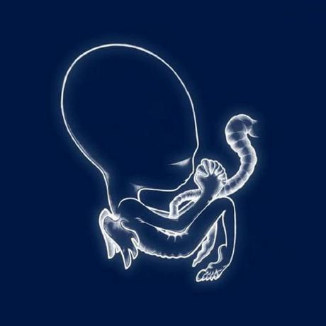 WaveGAN-pytorch