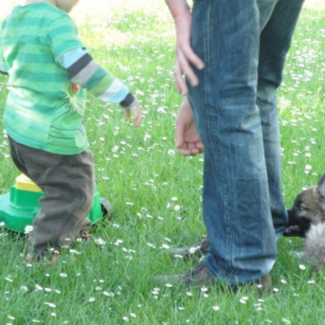 beakjs