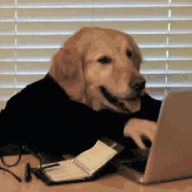 website-to-gif
