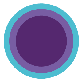 VelLMes-AI-Deception-Framework