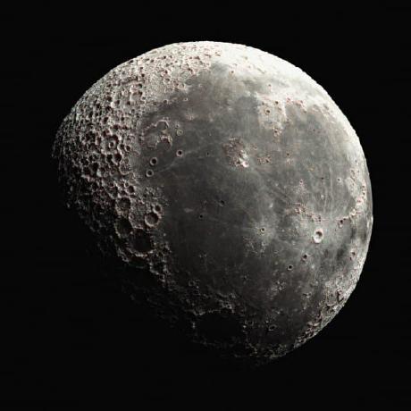MLX_z-image