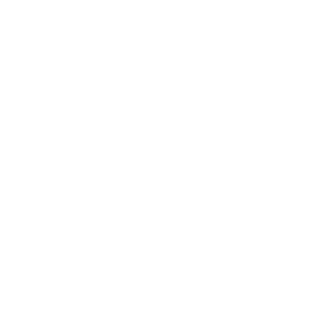 NyRAG