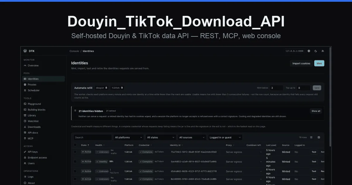 Douyin_TikTok_Download_API 项目界面预览图